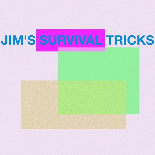 Idaam - Jim's Survival Tricks [SOBER039]
